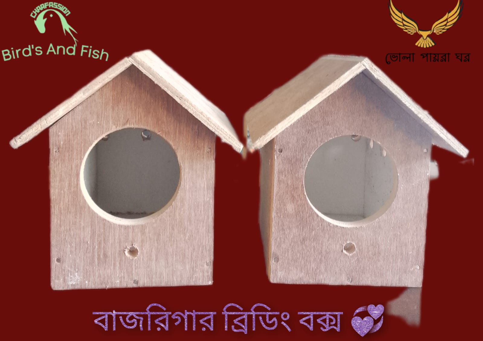 বাজরিগার ব্রিডিং বক্স দো-সালা