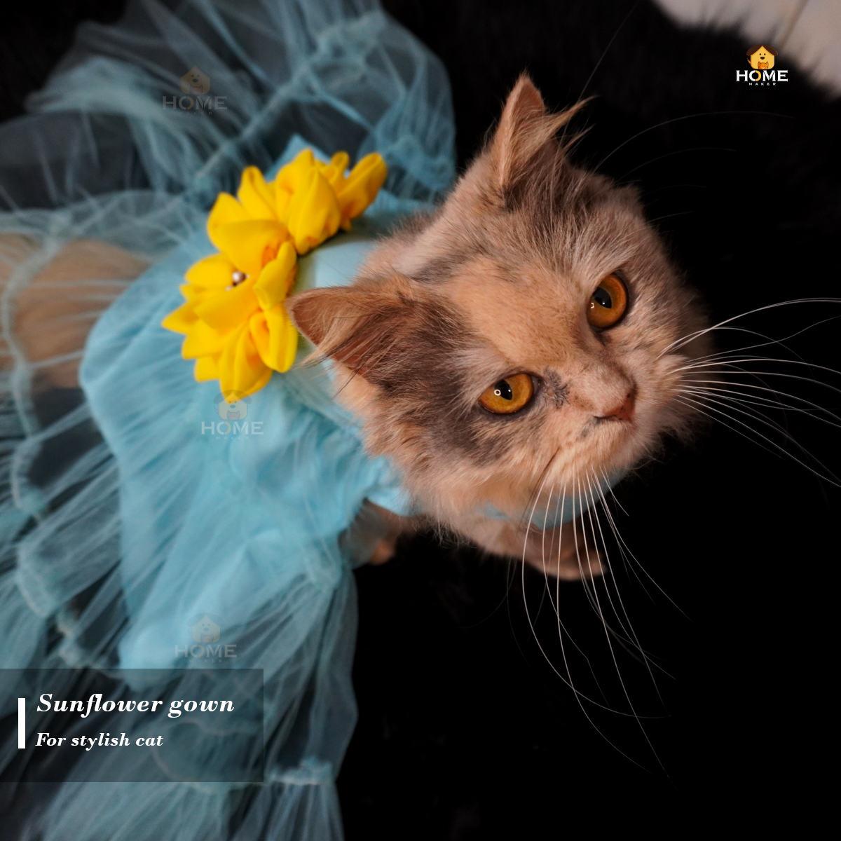 cat frock (3.5 kg)_img_0