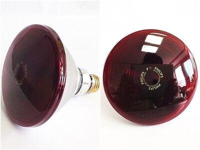 IRR BULB_img_1