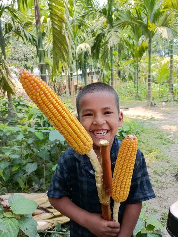 Customer-এর রিভিউ