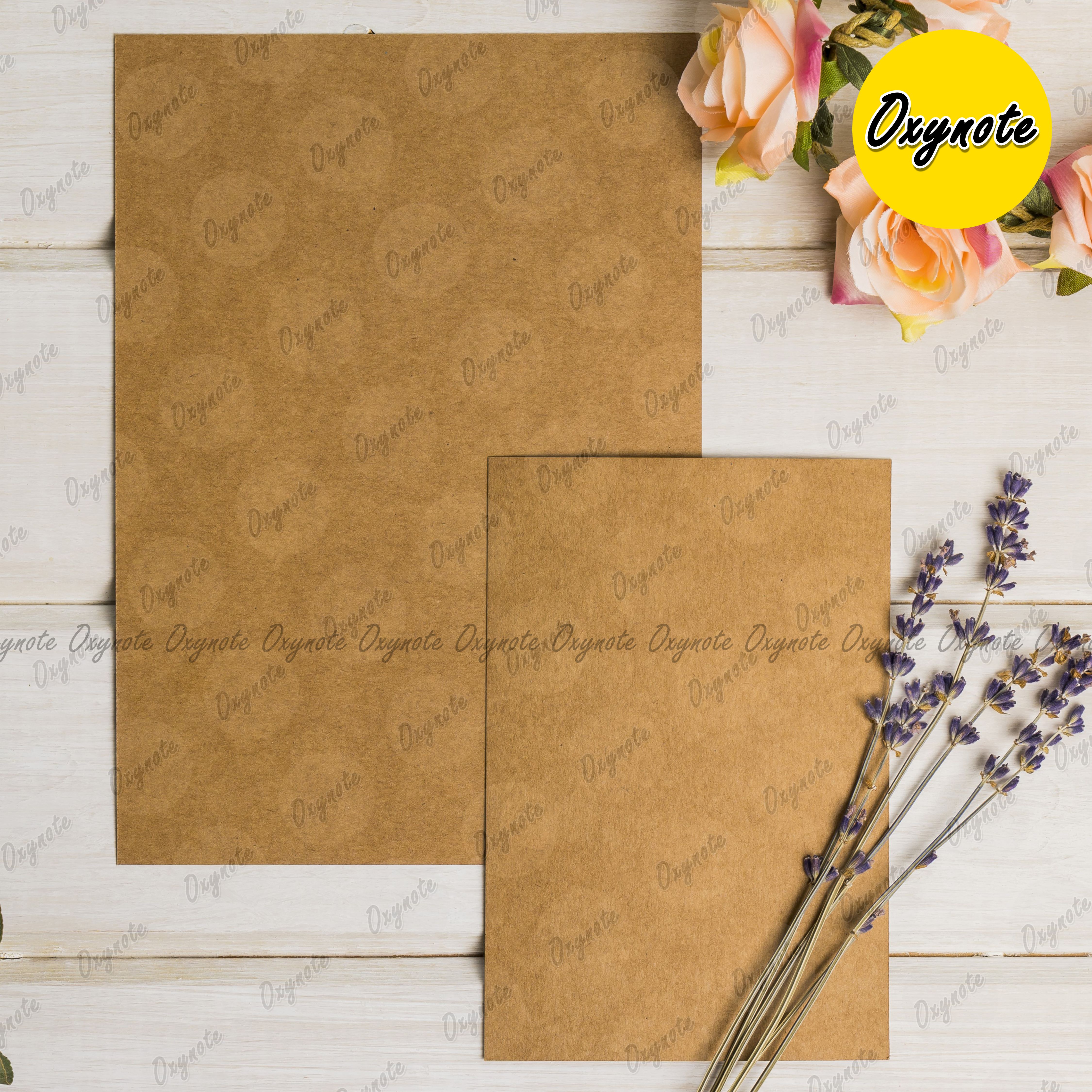Blank Kraft Card by OXYNOTE - 25 Cards - 400GSM_img_0