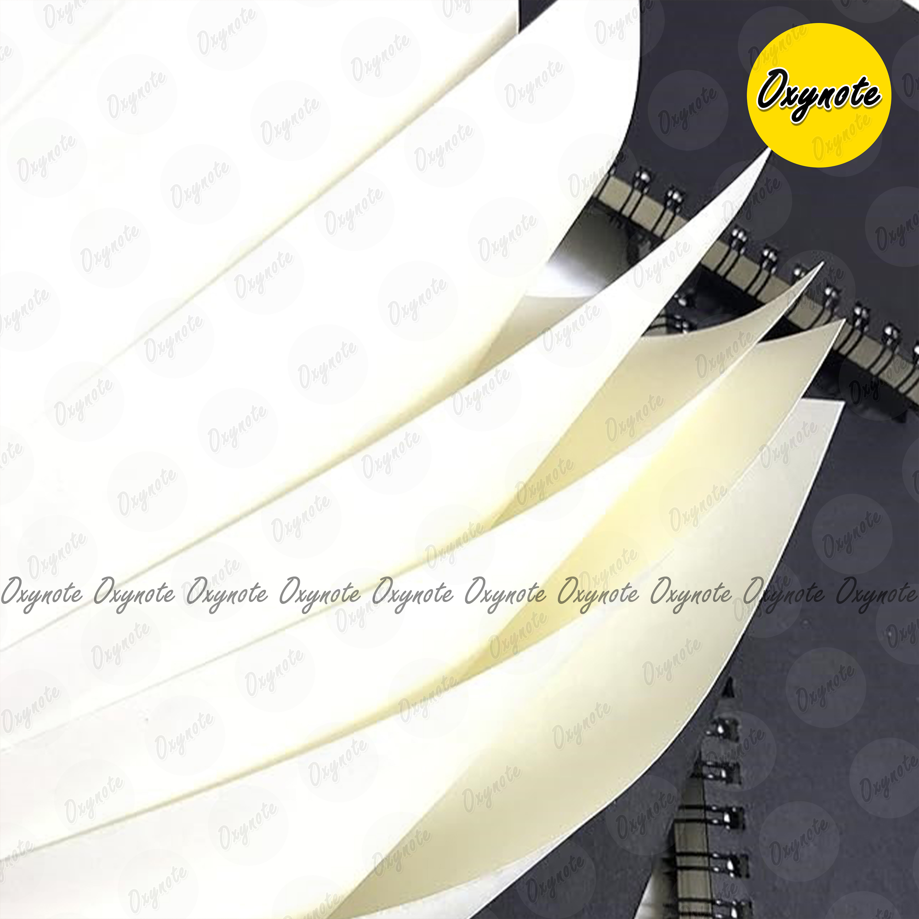 Spiral Notebook by OXYNOTE - 8.5 x 5.5 inches - 120 Pages - Double Wire-O Binding_img_10
