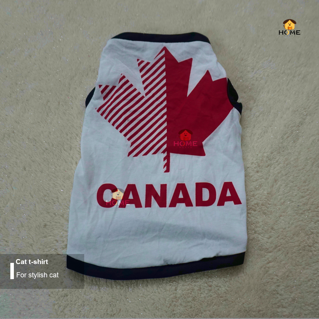 cat t-shirt (4 kg)_img_1