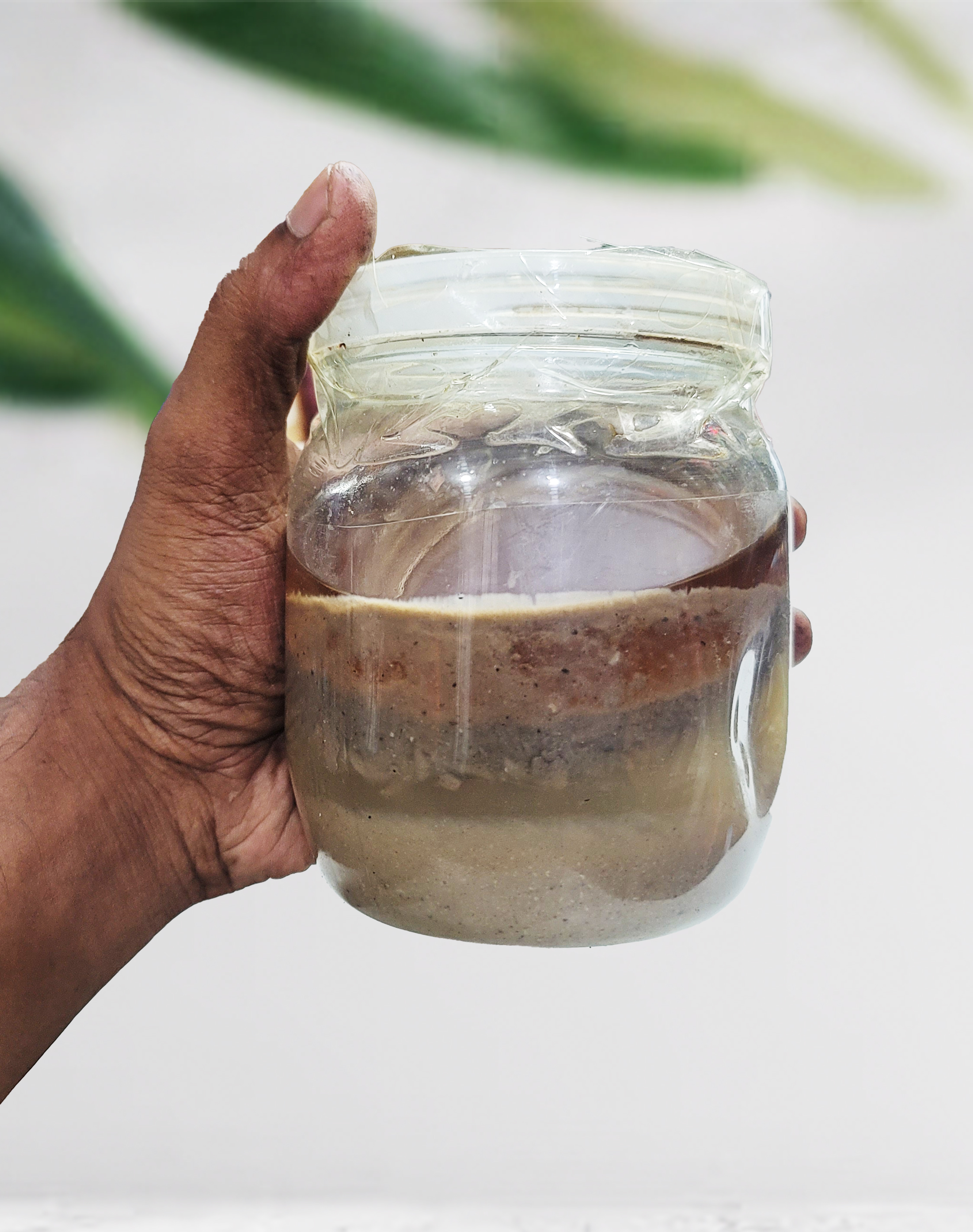 নারিকেল পচা (৫০০) গ্রাম- Rotten Coconut (500 gm)_img_1