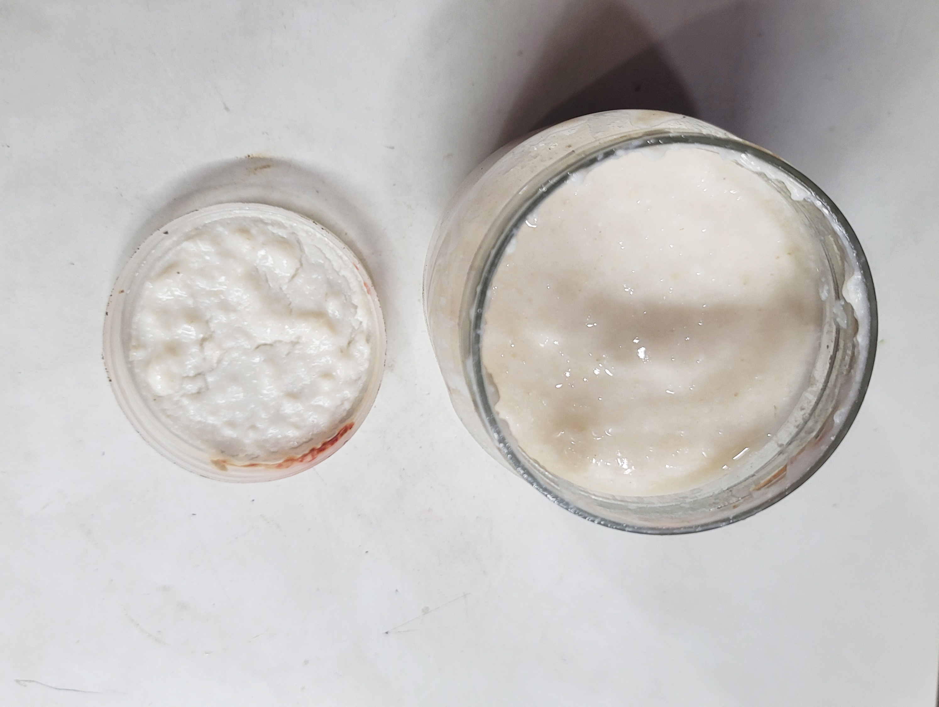 হাড়িয়া লেপিং অথবা চারা (৫০০গ্রাম) - Hariya Lapping or Chara (500gms)_img_0