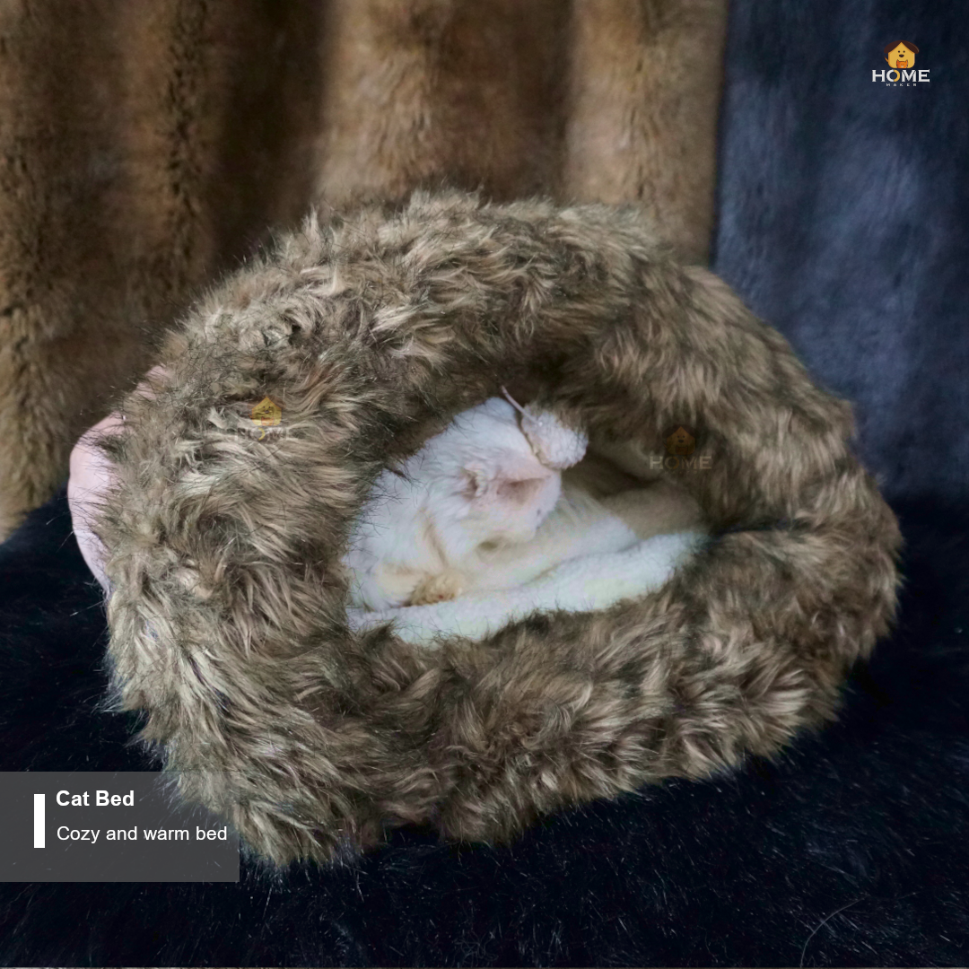 cat house_img_1