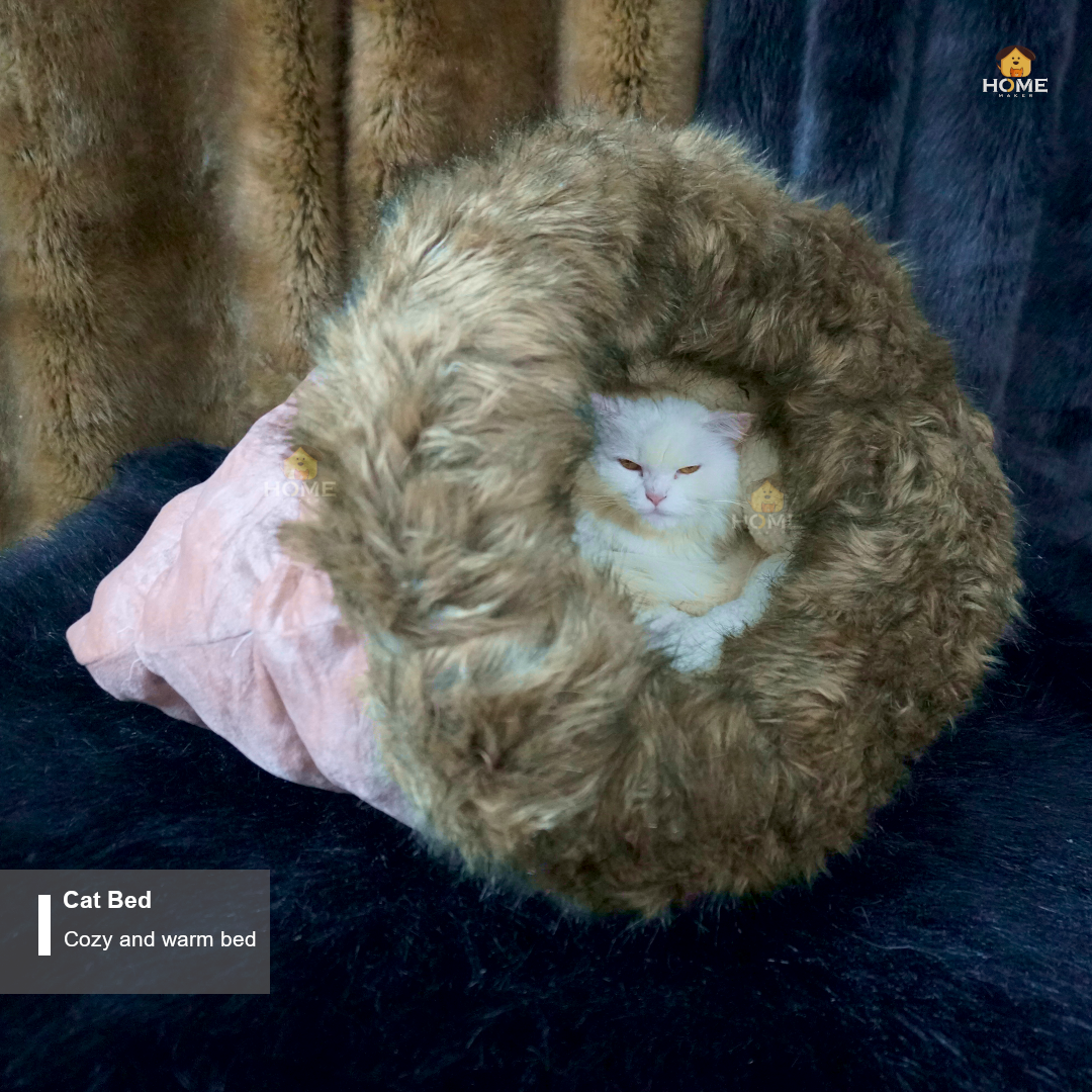 cat house_img_5