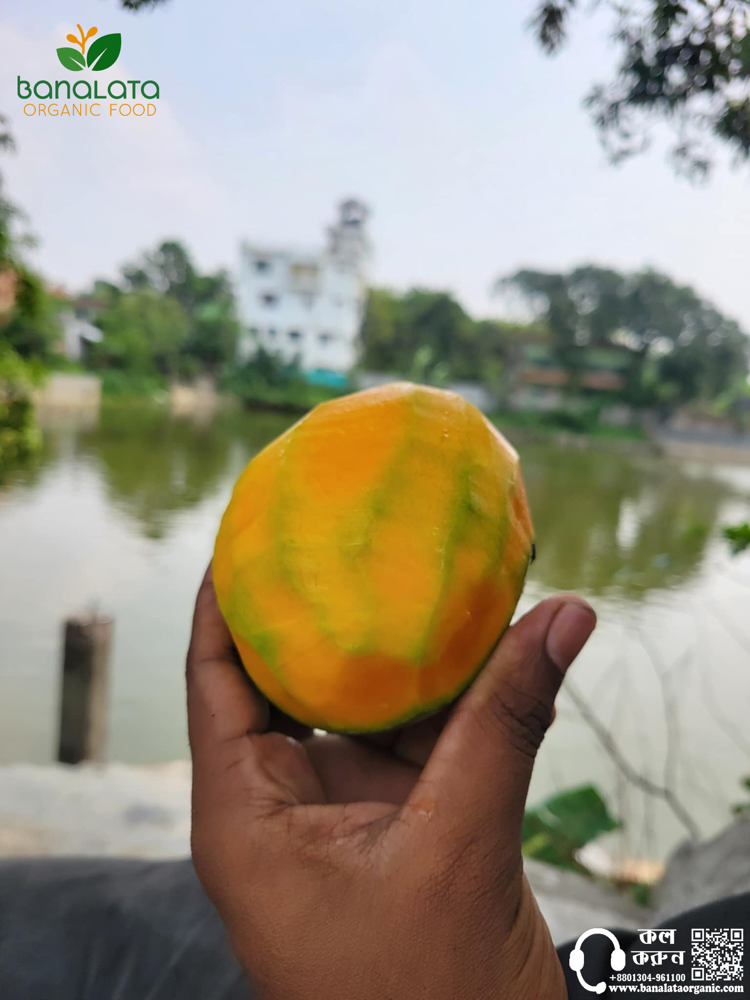 গোবিন্দভোগ আম ১২ কেজি হোম ডেলিভারিসহ - Image 1