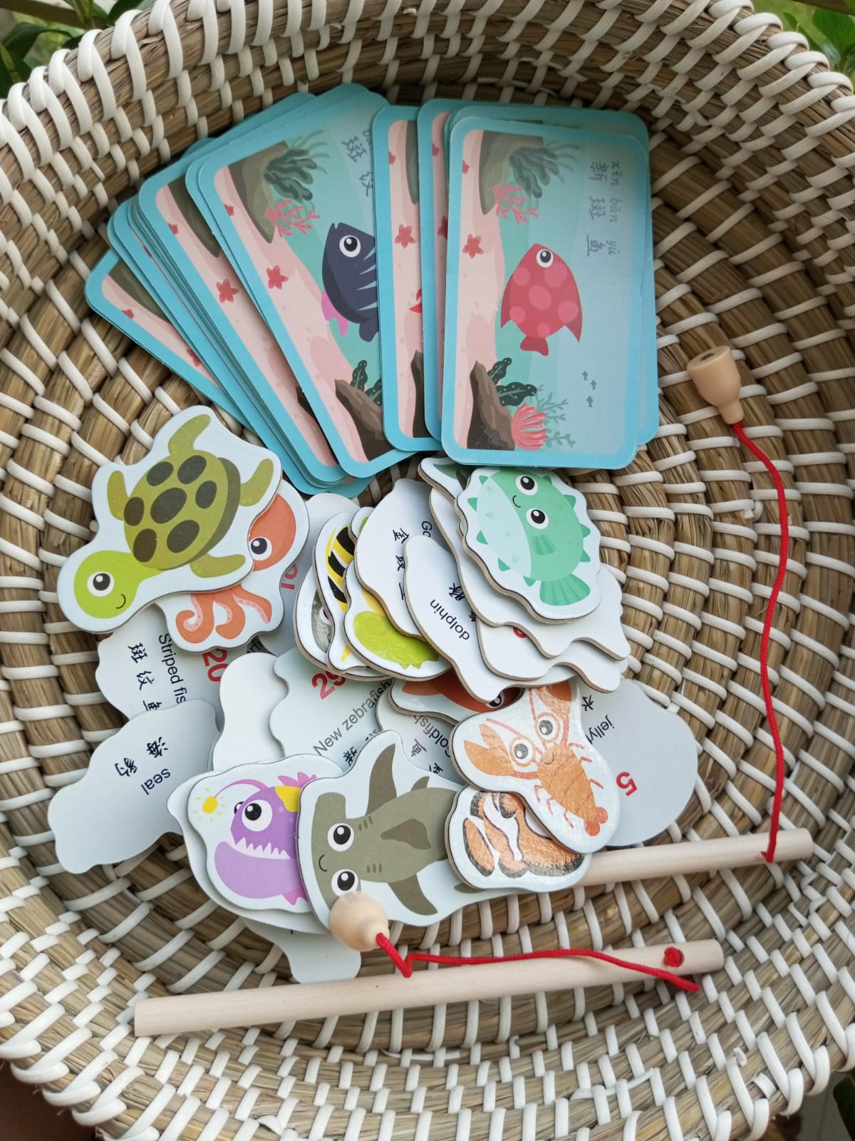 Fishing Game with Card
