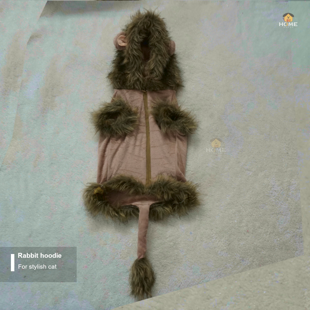 Cat lion hoodie 5 kg_img_4