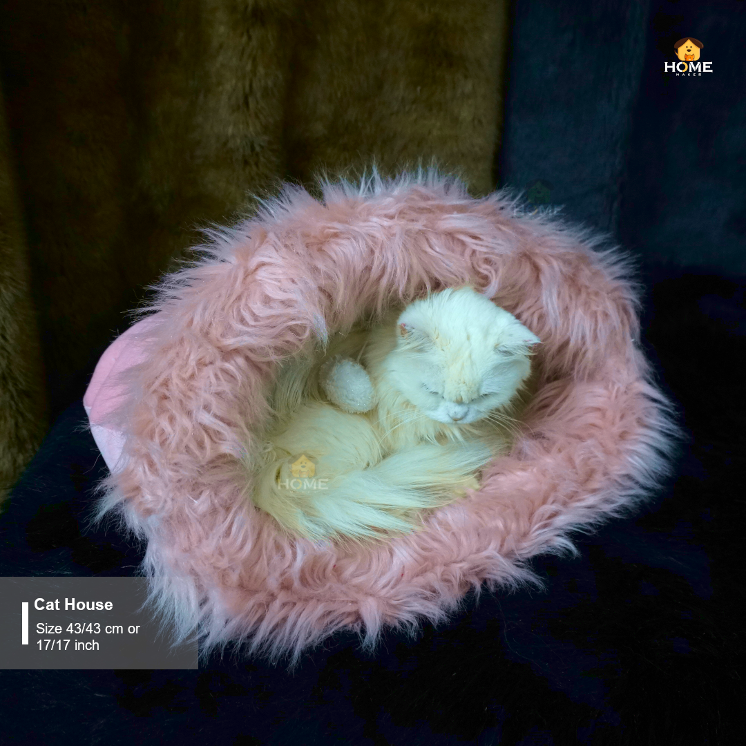Cat house_img_4