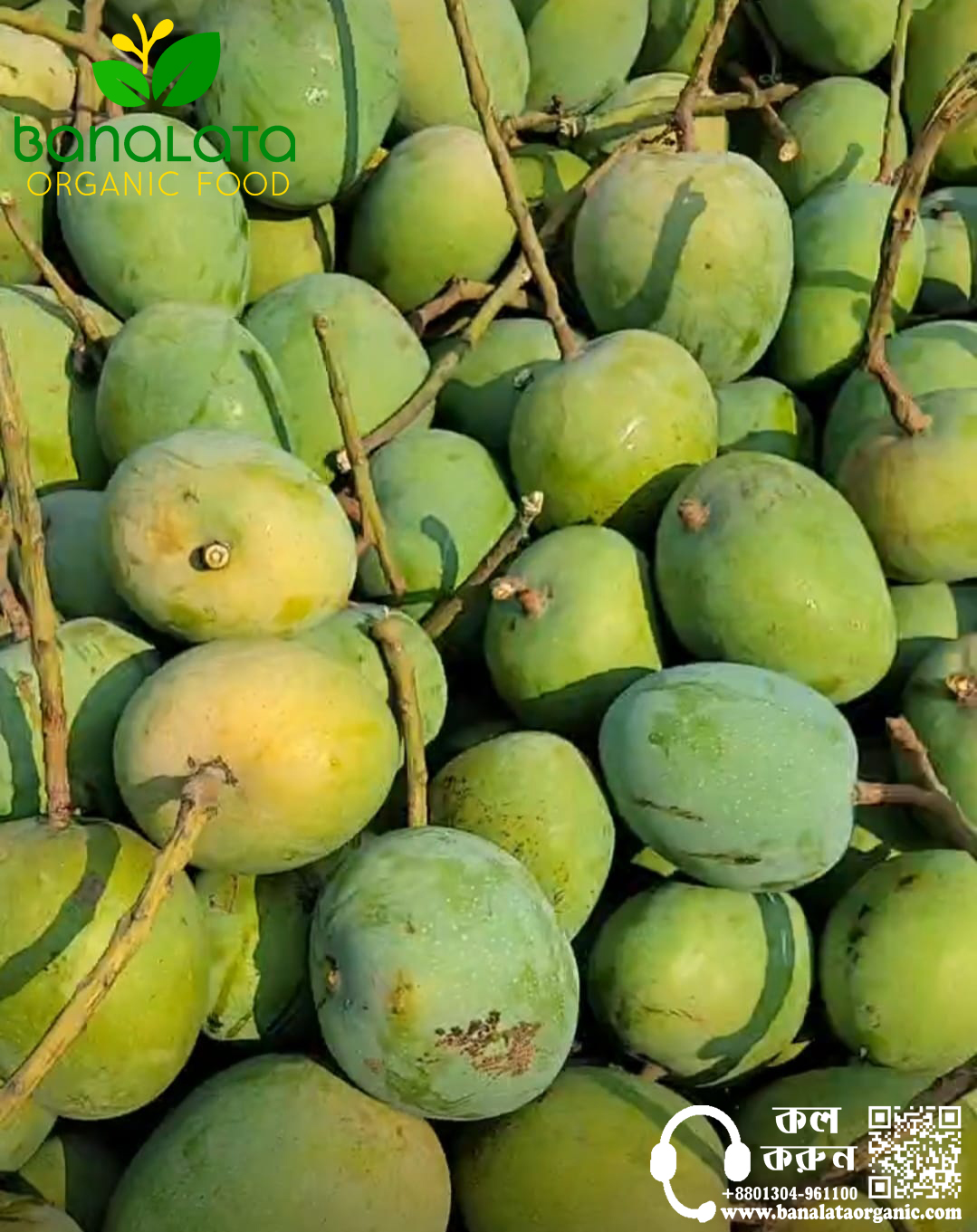 গোপালভোগ আম ১২ কেজি হোম ডেলিভারি - Image 2