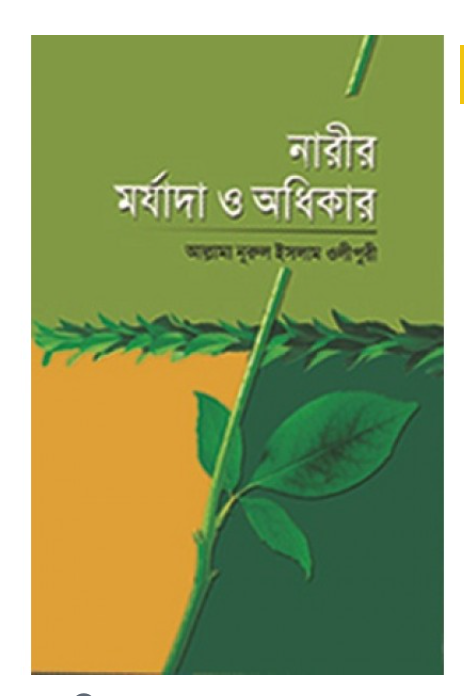 নারীর  মর্যাদা ও অধিকার