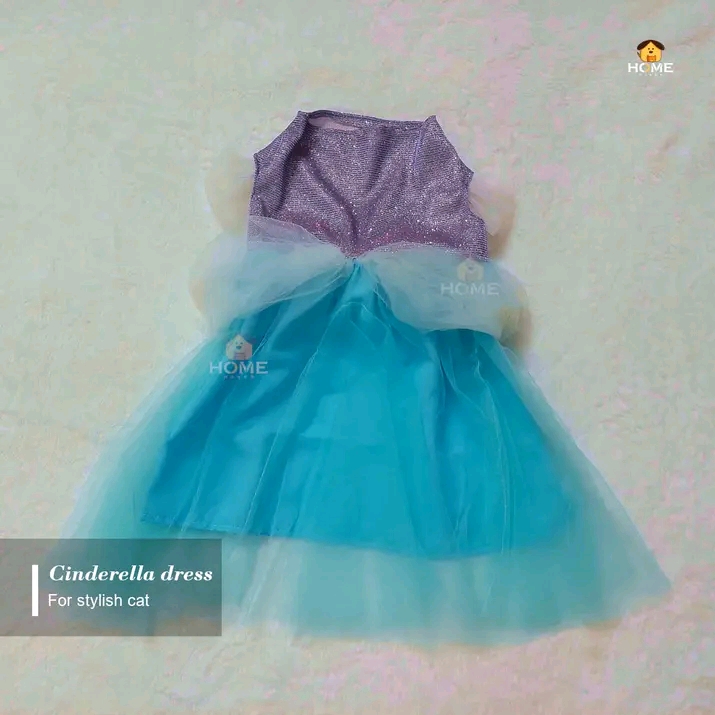 Cinderella (custome)_img_0