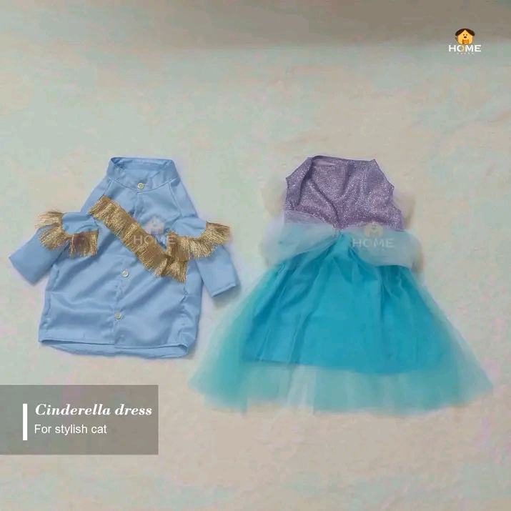 Cinderella (custome)_img_1