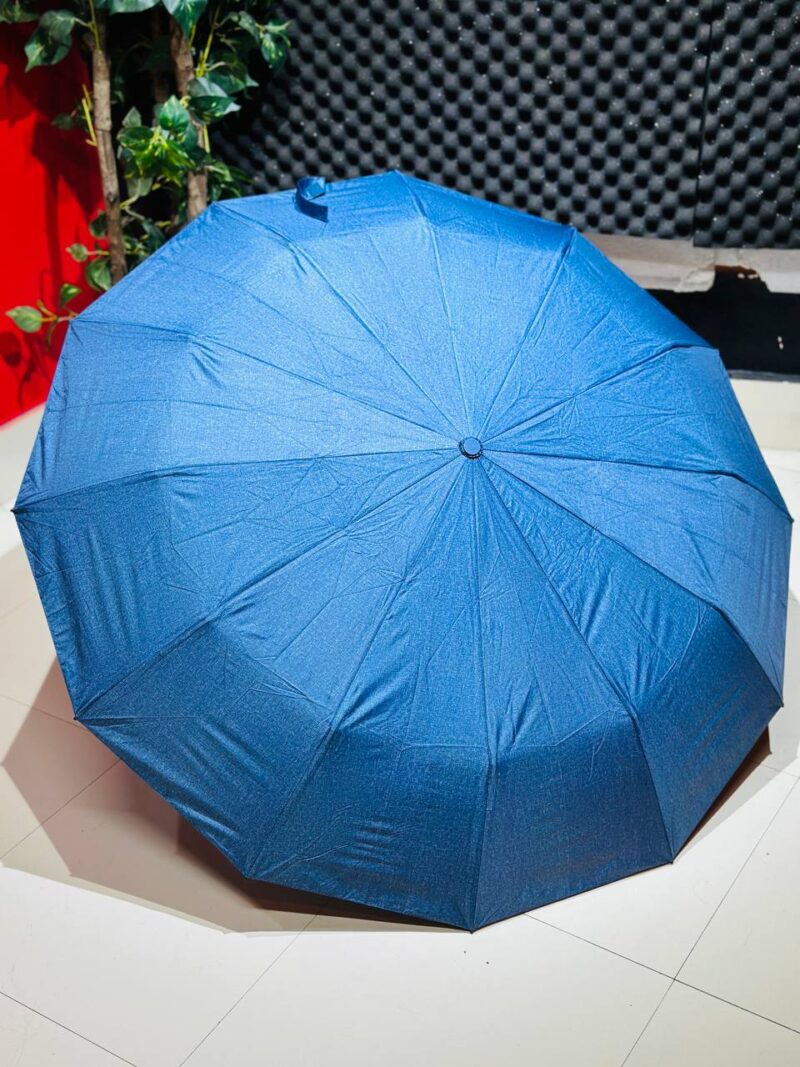 Premium 12-Ribs Automatic Open/Close Wood Handle Umbrella_img_1