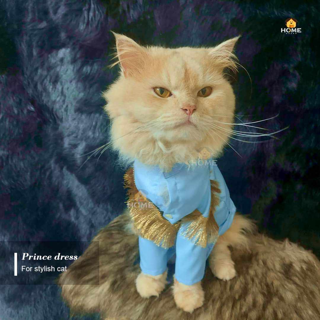 Prince outfit(custome)_img_1