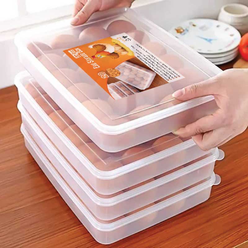 20 Grid Egg Box_img_0