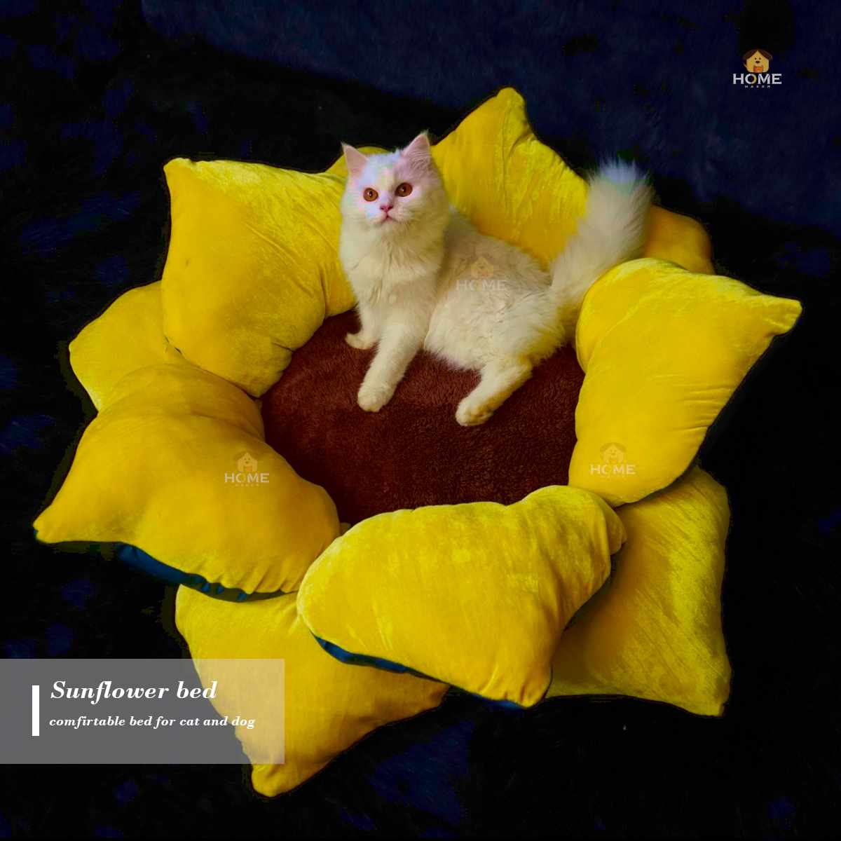 Sunflower bed_img_1