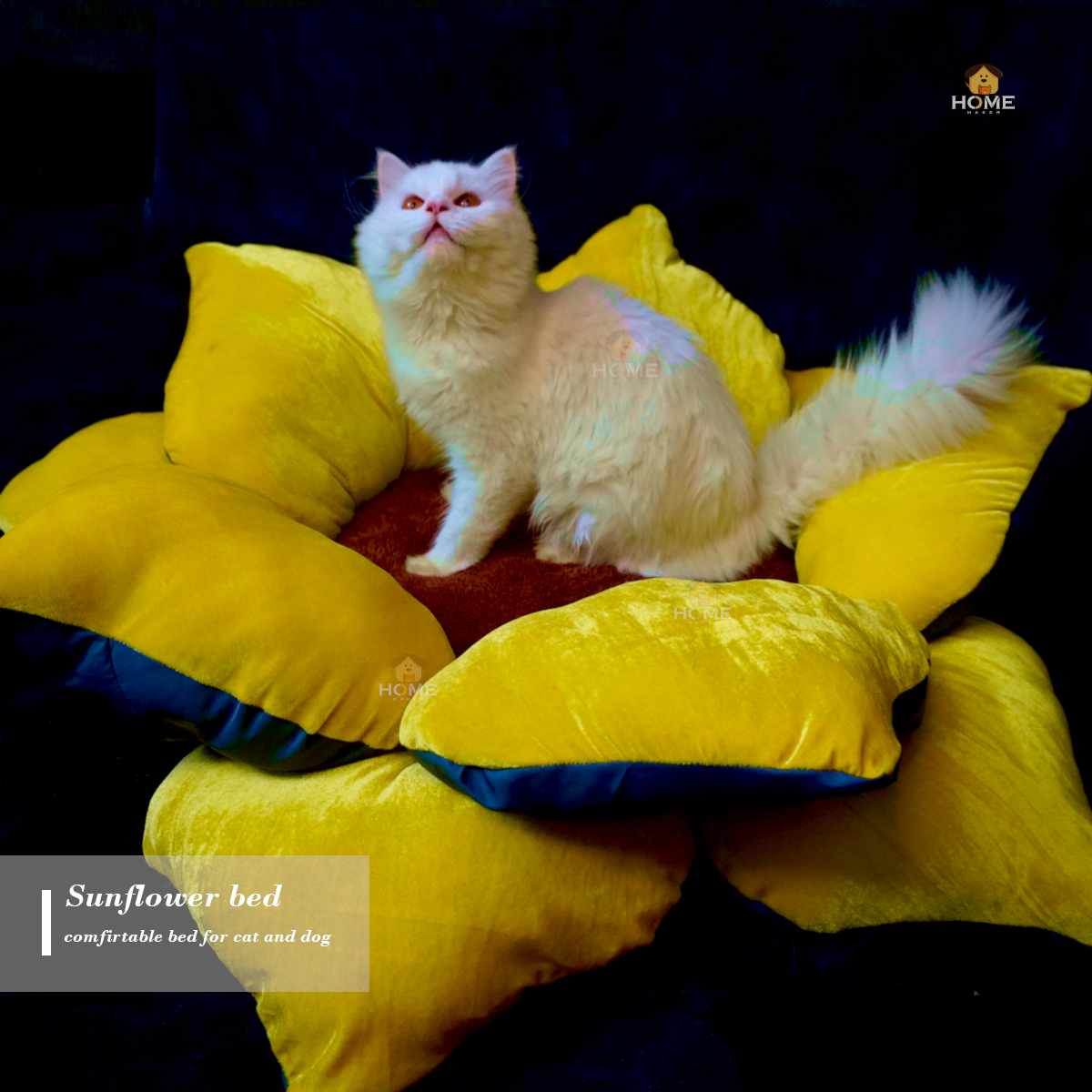 Sunflower bed_img_2