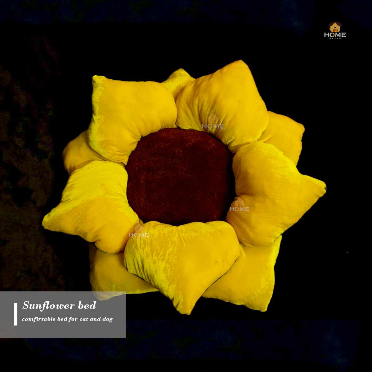 Sunflower bed_img_3