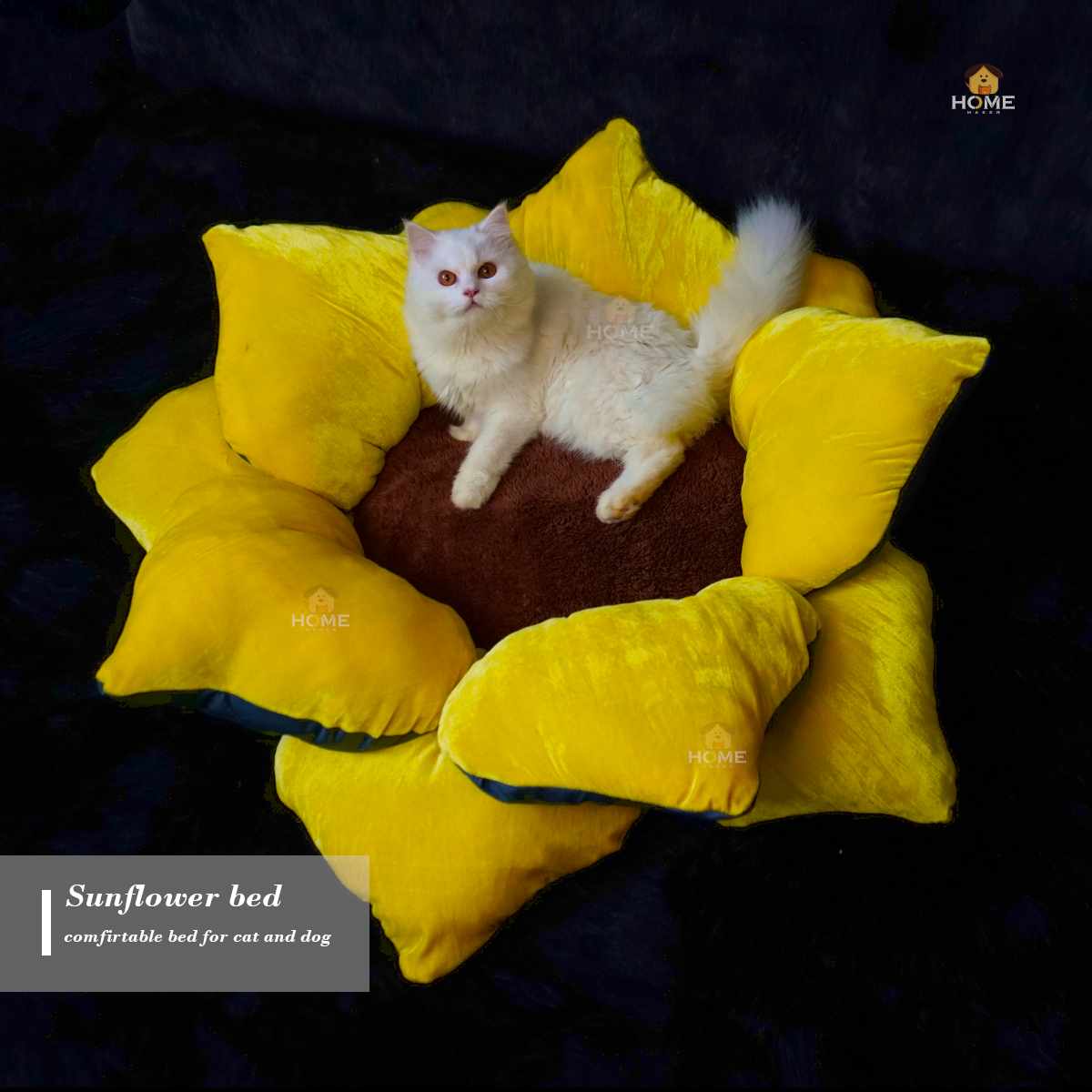 Sunflower bed_img_4