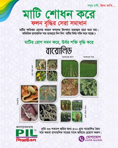 বায়োলিড ( ট্রাইকোডার্মা পাউডার ) । Biolead (Trichoderma powder)_img_2