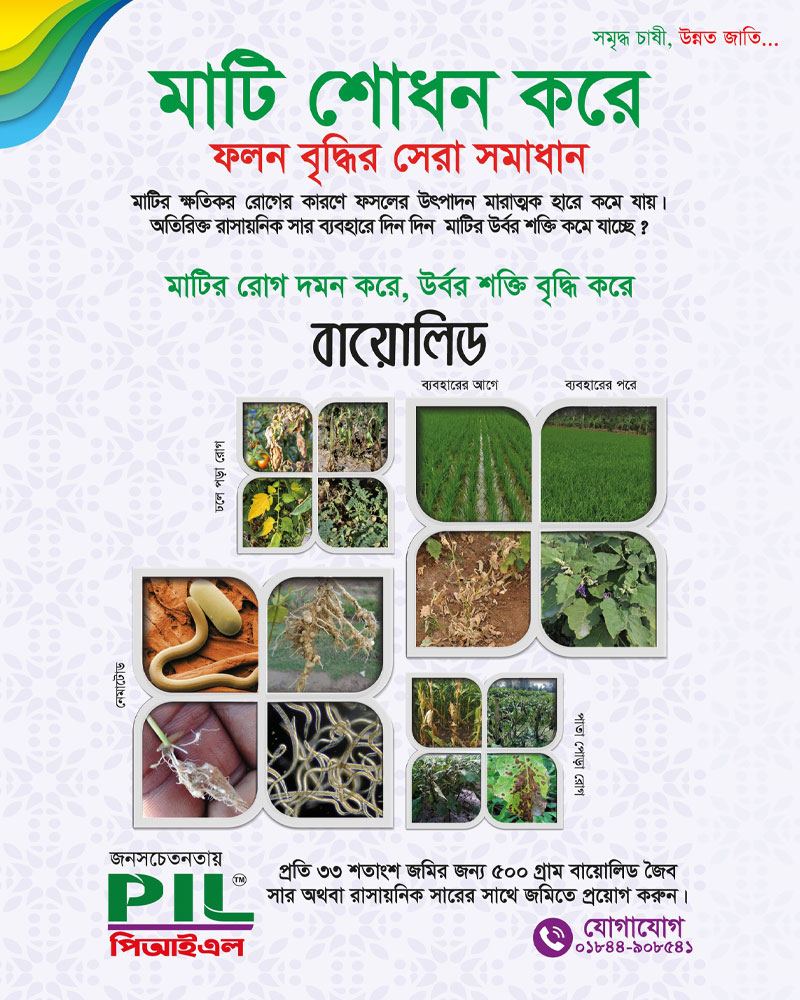 বায়োলিড ( ট্রাইকোডার্মা পাউডার ) । Biolead (Trichoderma powder)_img_2
