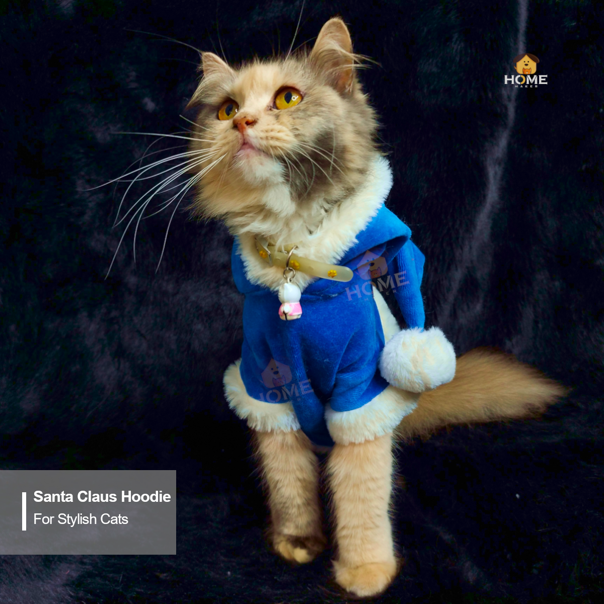 Cat chanta hoodie (custome)_img_1