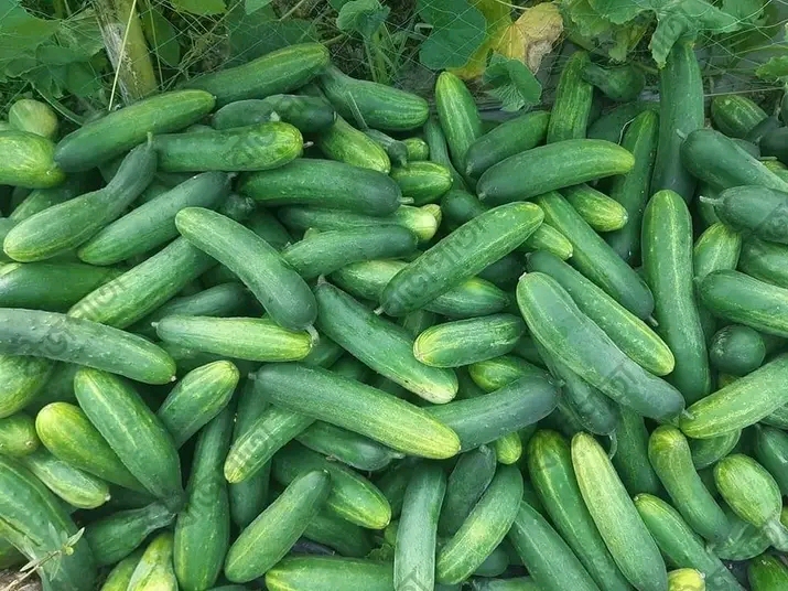 Customer-এর রিভিউ