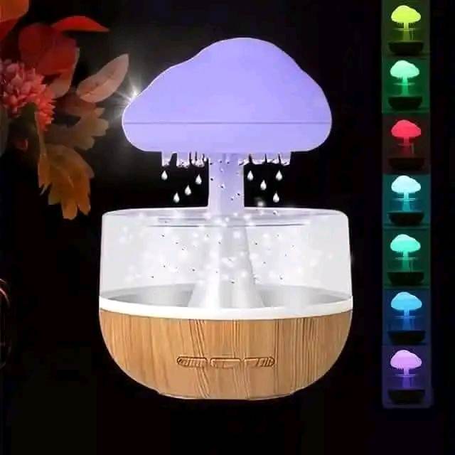 Rain Cloud Humidifier_img_3