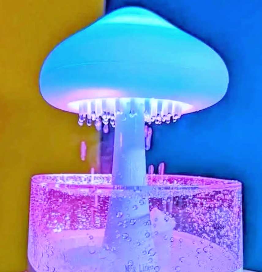 Rain Cloud Humidifier_img_7