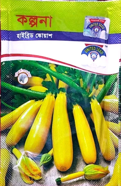 হাইব্রিড হলুদ জাতের স্কোয়াস বীজ কল্পনা । Hybrid variety squash seeds imagination. ( Yellow colour )_img_0