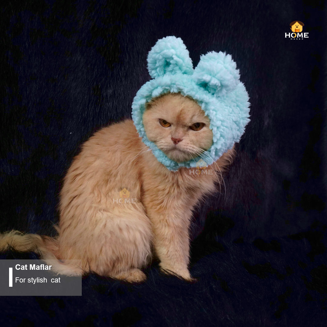 Cat Maflar_img_8