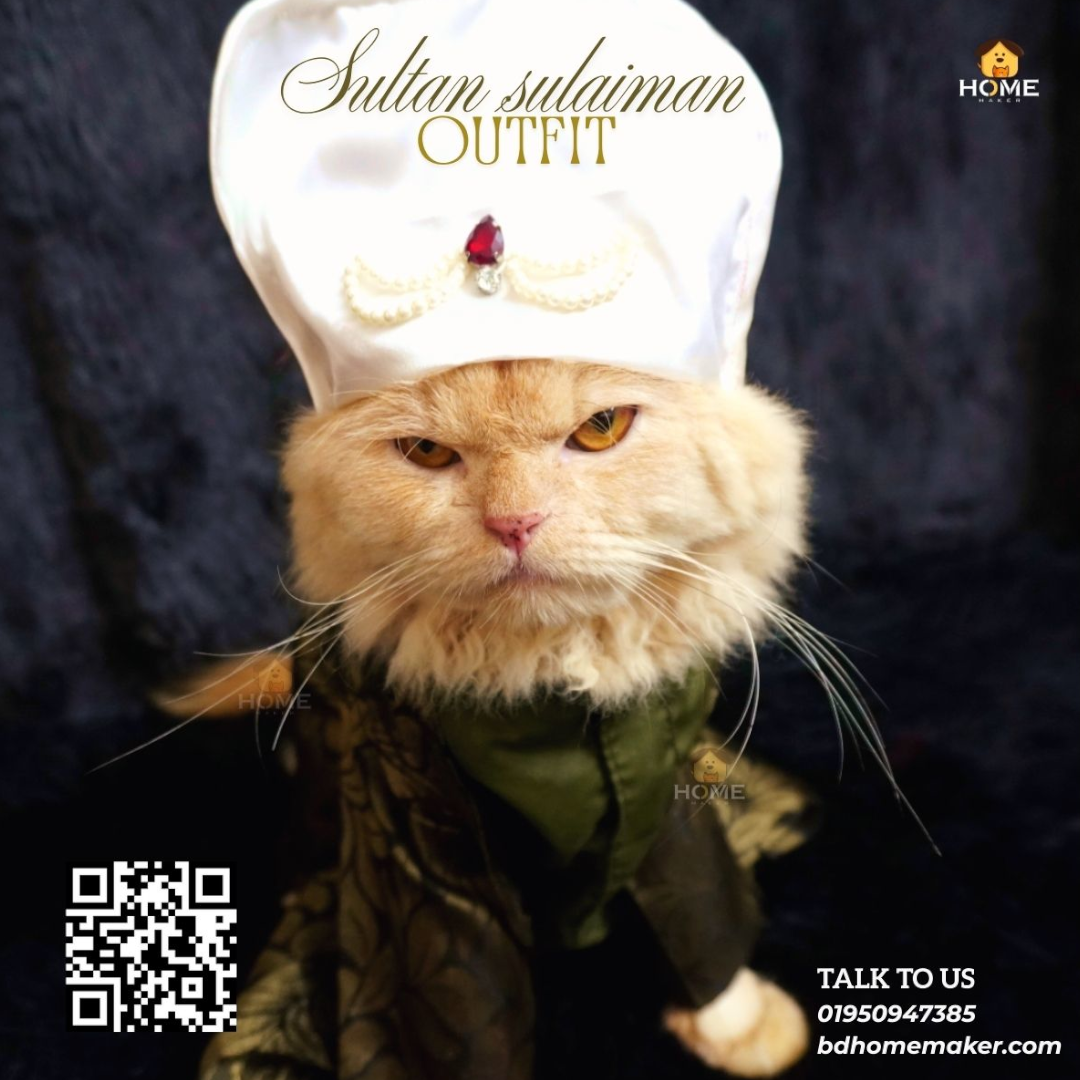 Sultan sulaimon outfit_img_7