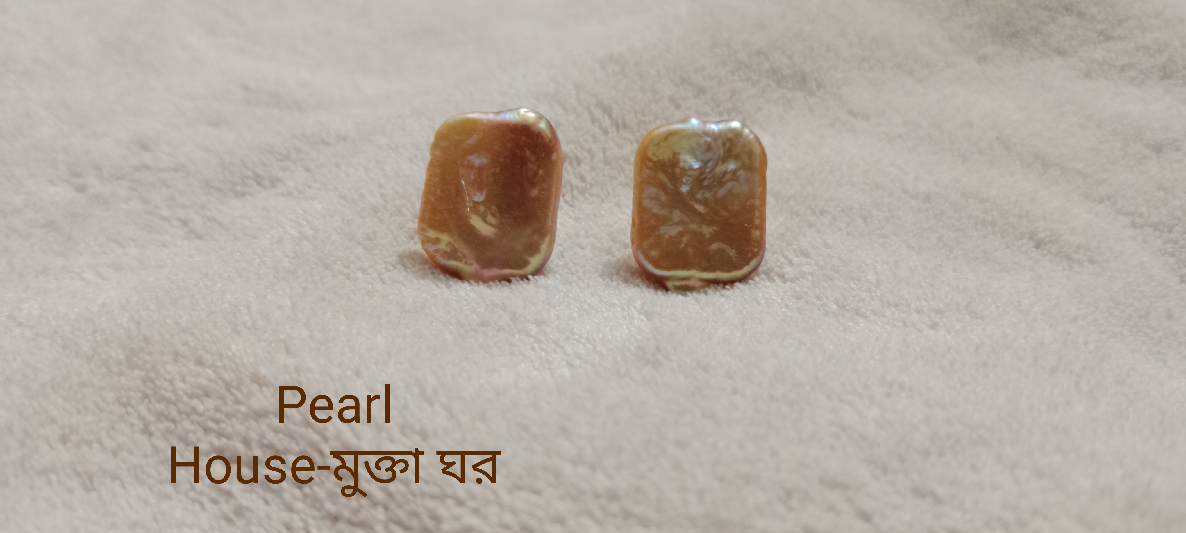 Mother Pearl Ear Top_img_1