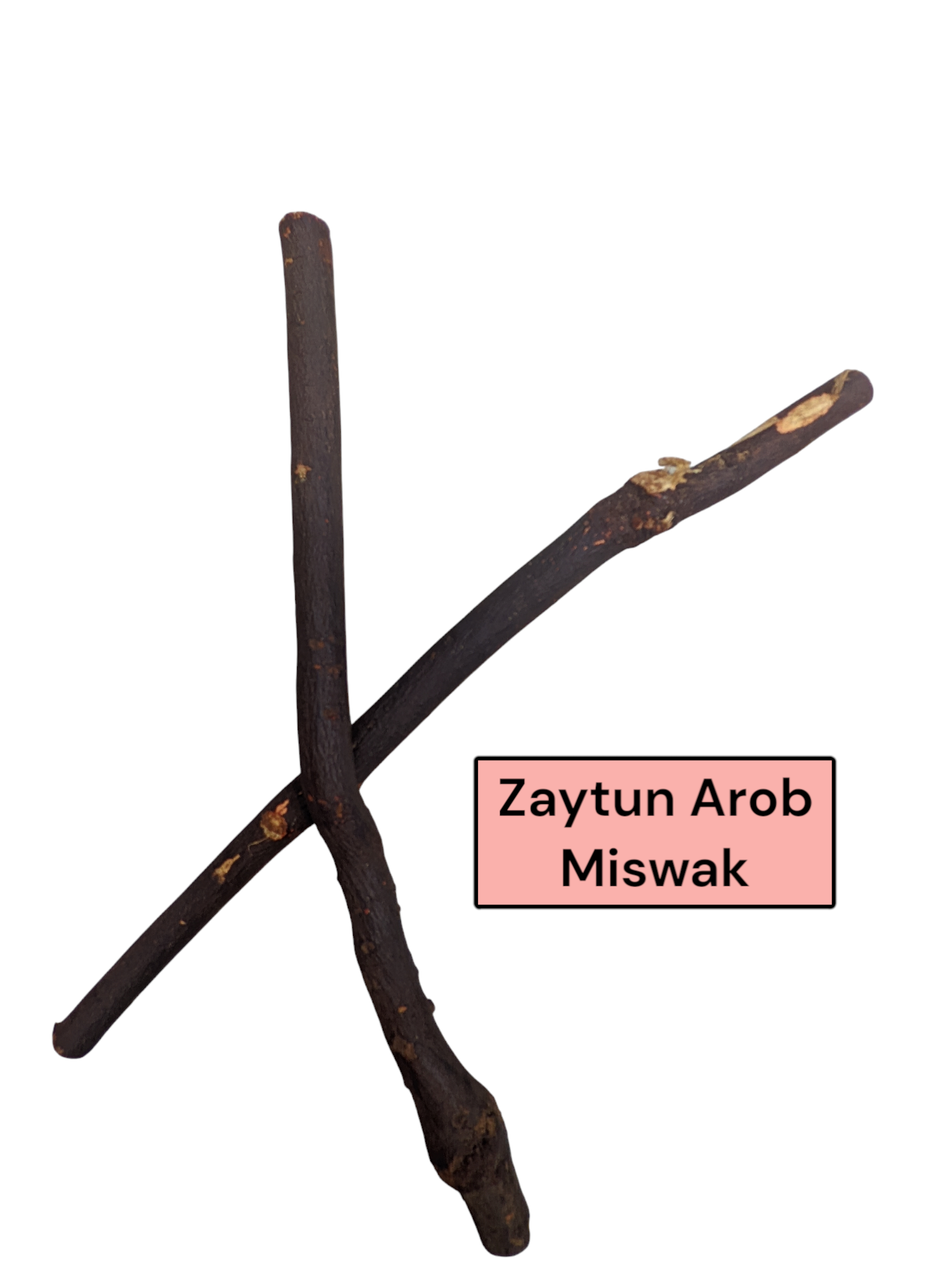 Zaytun Arob Miswak