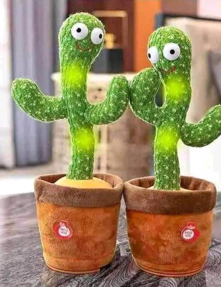 Dancing cactus toy_img_1