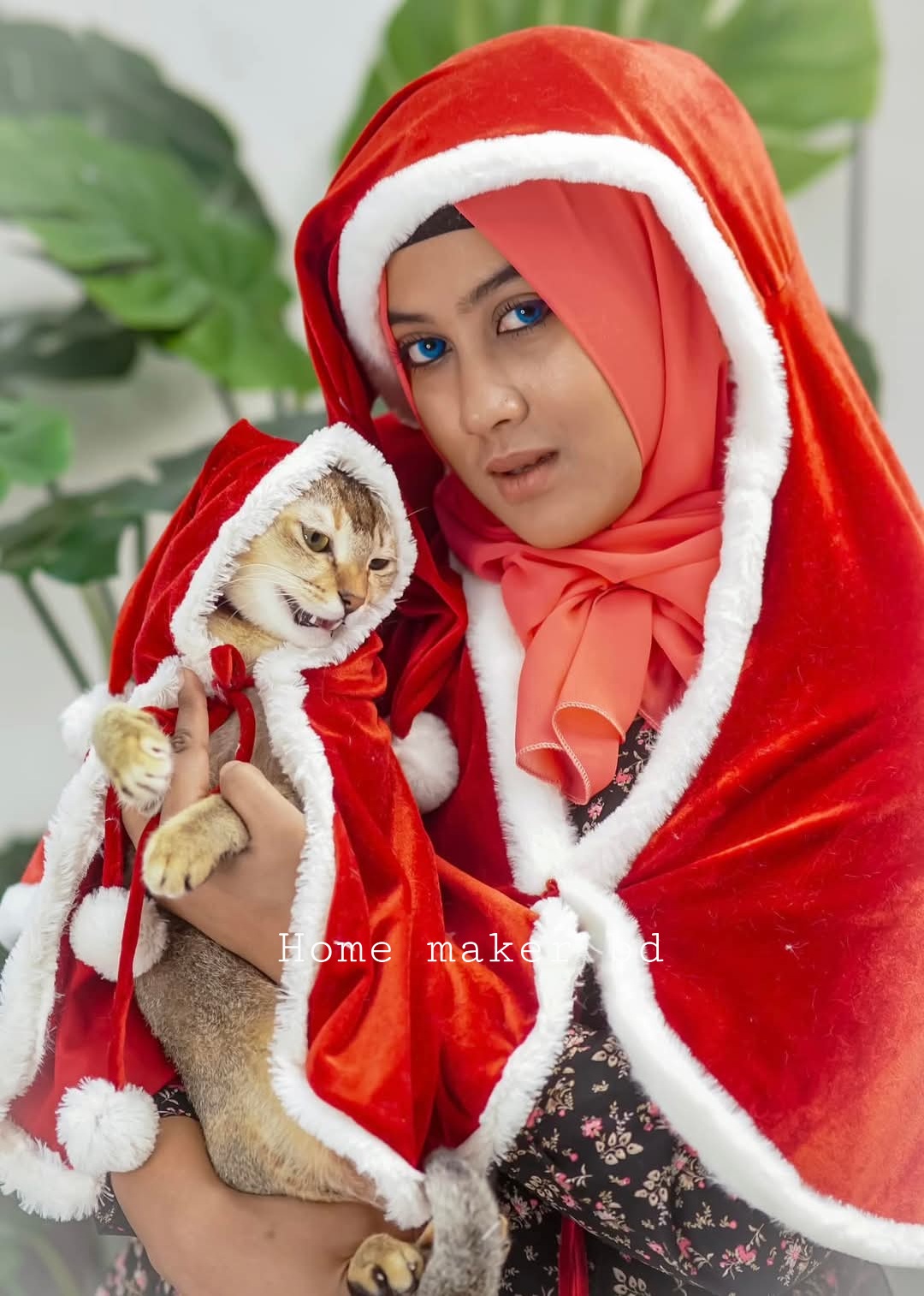owner chenta cape_img_1