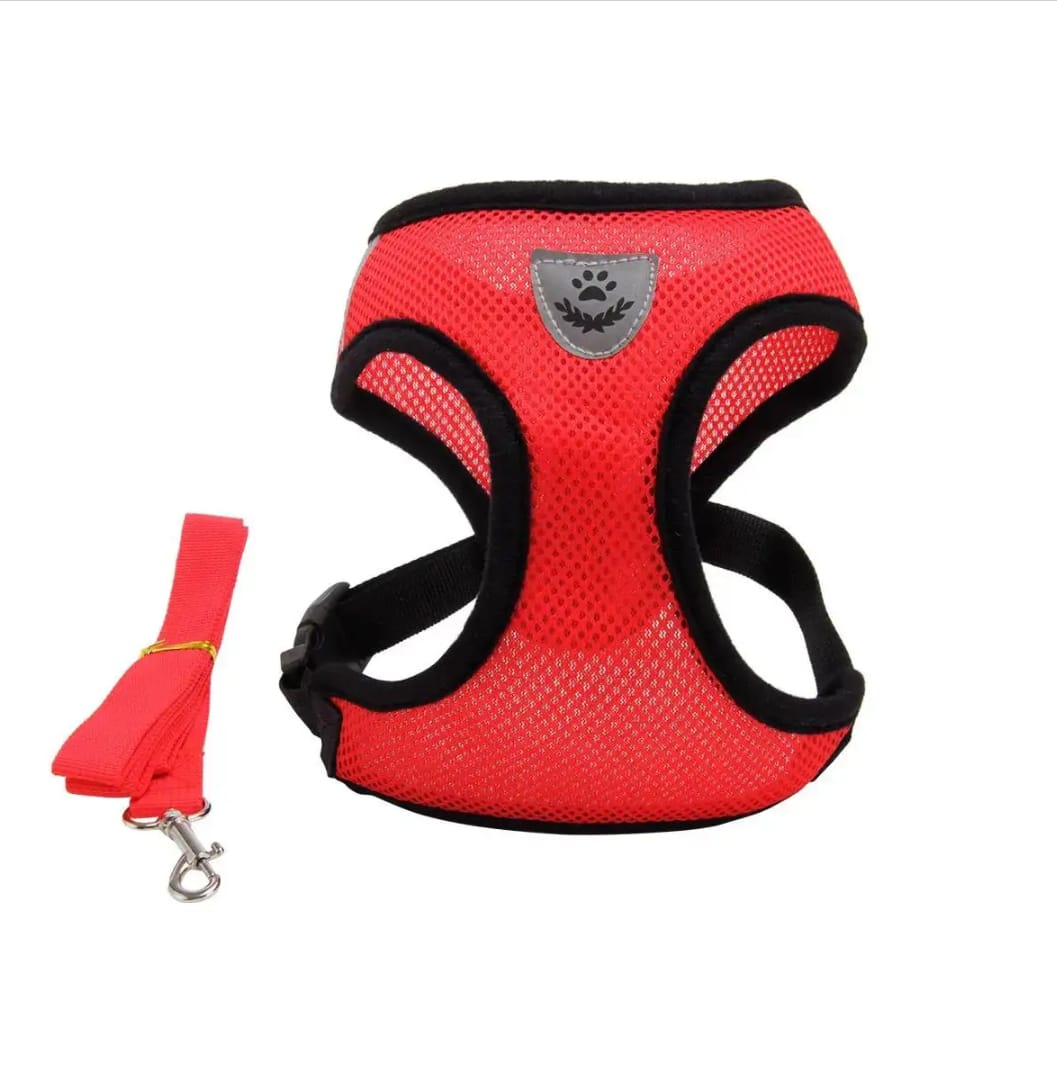 (S Size) Cat Pet Kitten Cats/Small Dog Puppy Jacket Harness & Leash Breathable Reflective_img_2