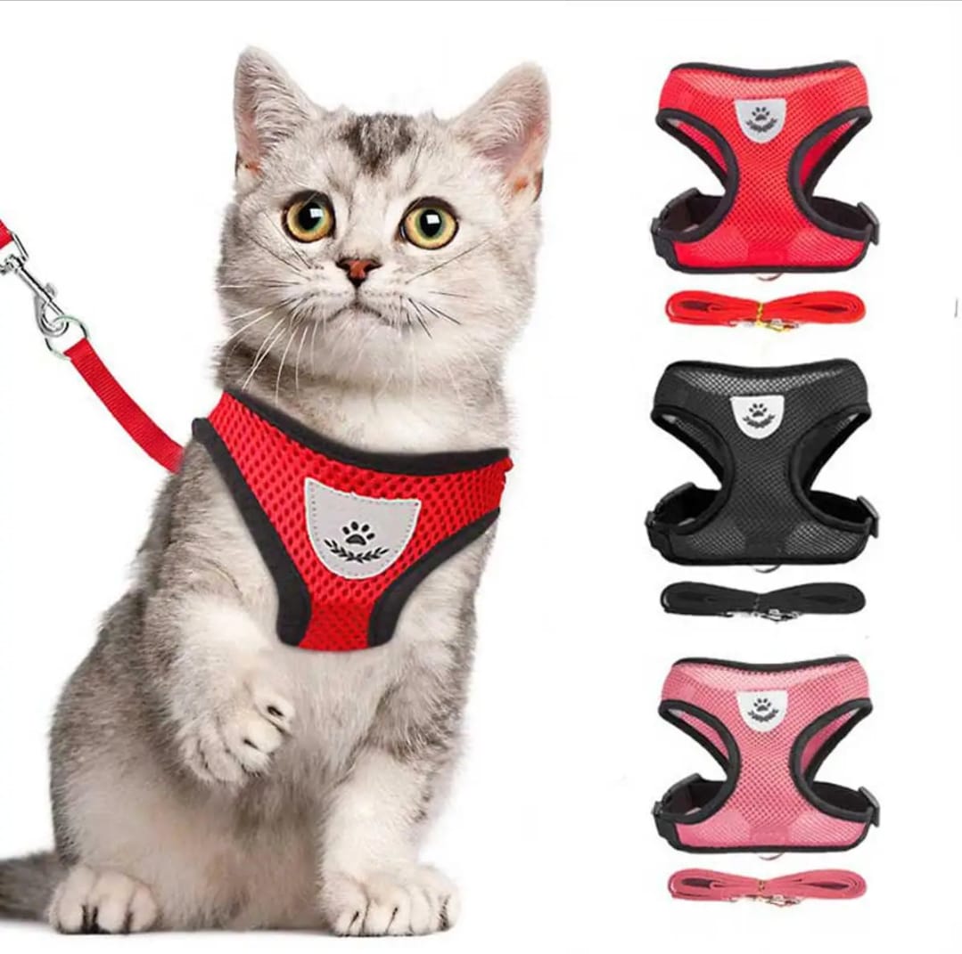 (M Size) Cat Pet Kitten Cats/Small Dog Puppy Jacket Harness & Leash Breathable Reflective