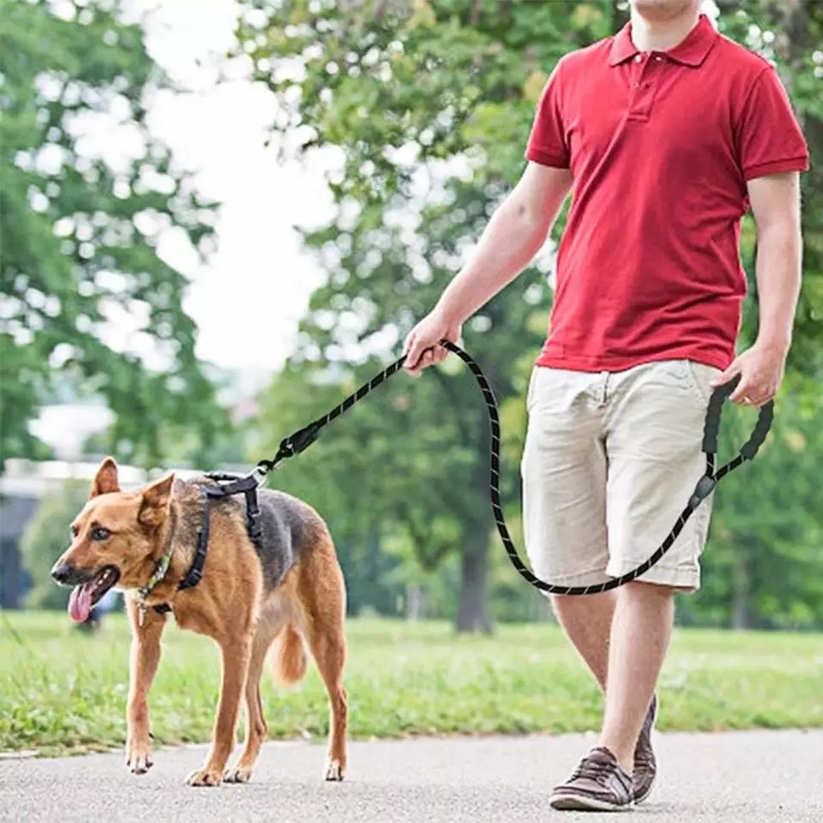 Pet Dog Nylon Adjustable Loop Training Lead Collar Leash Traction Rope