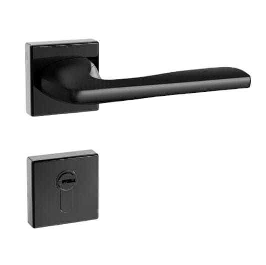 2 in 1 Handle Lock