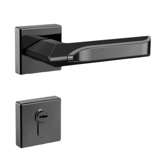 2 in 1 Handle Lock