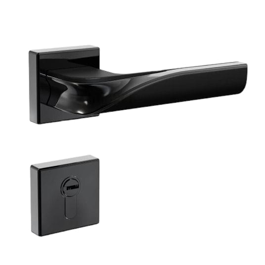 2 in 1 Handle Lock
