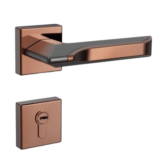 2 in 1 Handle Lock