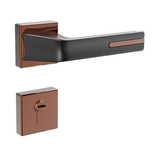 2 in 1 Handle Lock