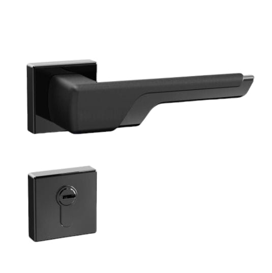 2 in 1 Handle Lock