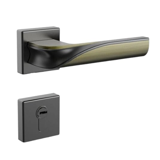 2 in 1 Handle Lock