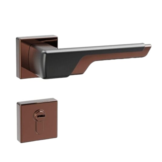2 in 1 Handle Lock